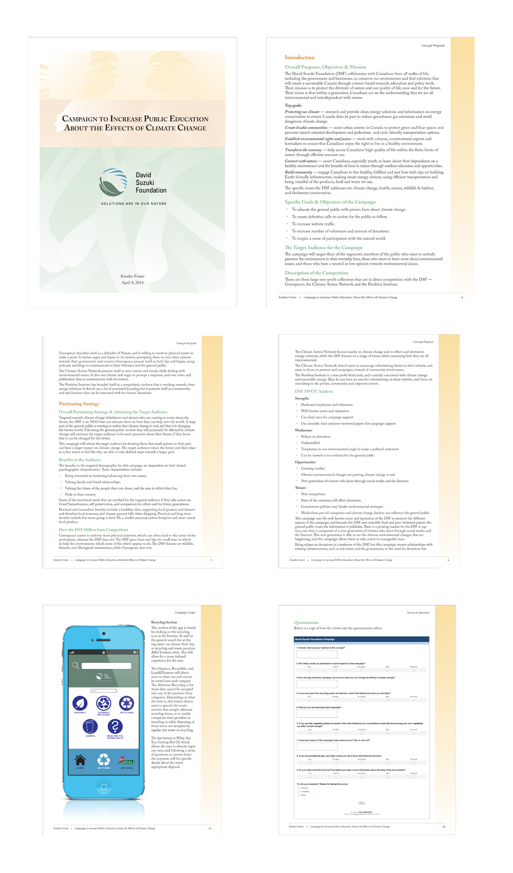 Example pages from the Campaign proposal